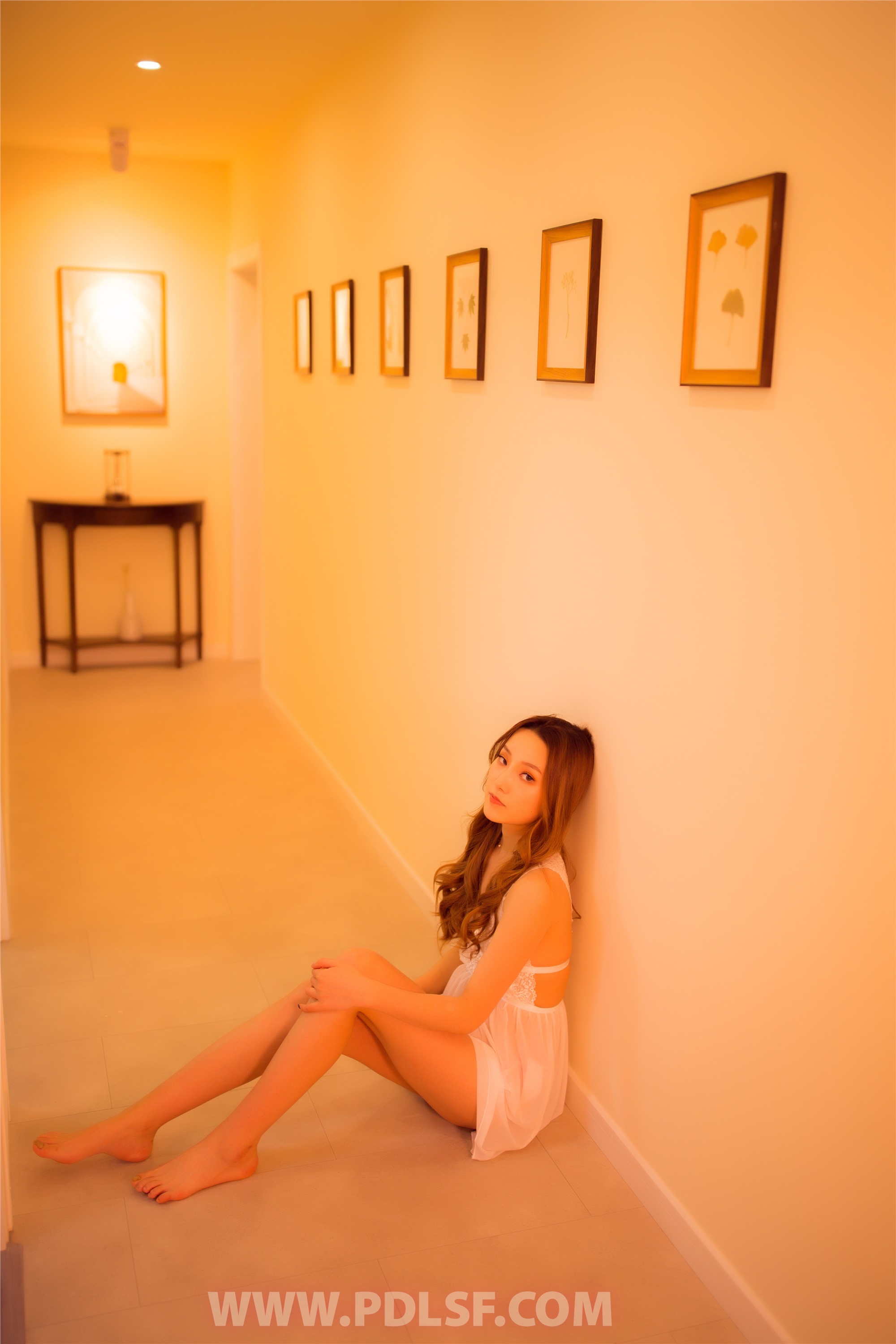 PDL潘多拉 2019.12.21 专辑No.255